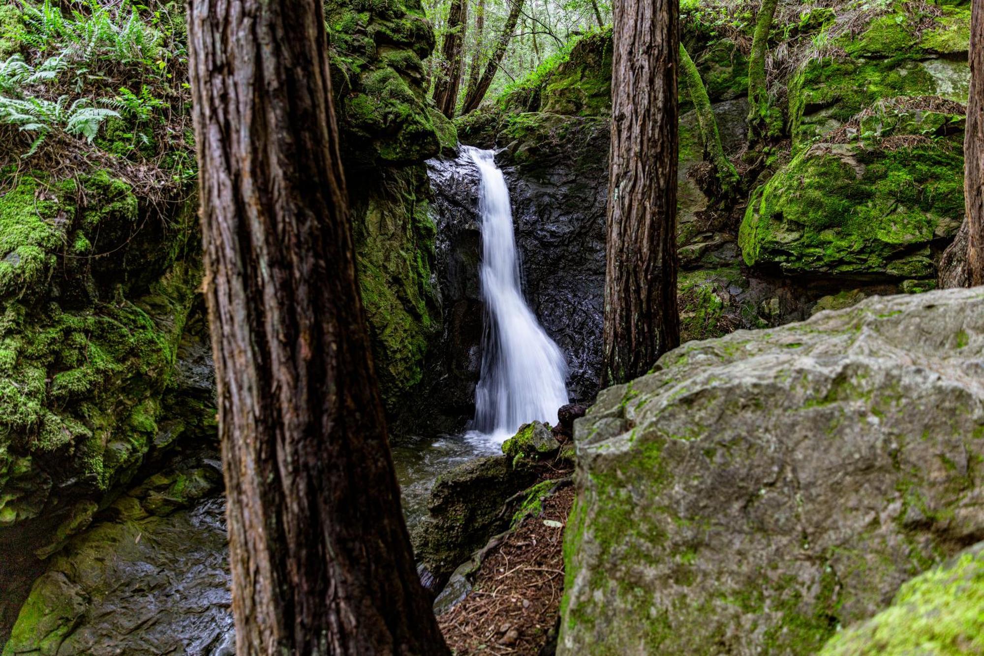 Enchanted Waterfall Sanctuary 米尔谷 外观 照片