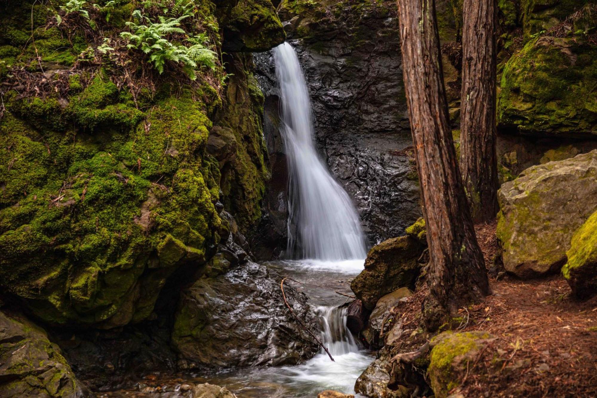 Enchanted Waterfall Sanctuary 米尔谷 外观 照片